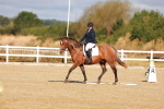 SBM_009366