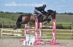 10TH JUNE 2025 - TUES SENIOR BRITISH SHOWJUMPING CAT 2 - MUIRMILL EC portfolio