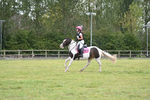WJ6_3349