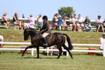 3E7A8060