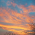 Dawn skies 4