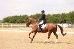 SBM_006478