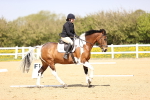 SBM_007900