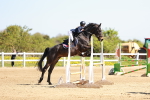 SBM_001380