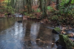 Autumn along the Brook - 6