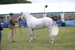SBM_09848