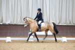 SBM_002731