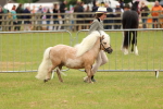 SBM_04461