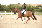 SBM_020203