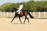 SBM_022207