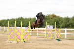 SBM_019047