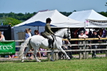 SBM_17490
