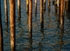 Poles Alight