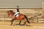 SBM_000551