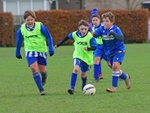 IBAU17