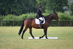 WJ6_5347