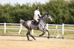 SBM_007382