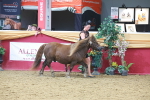 SBM_16620