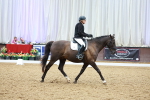 SBM_003532