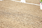SBM_005446