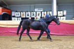 SBM_16013