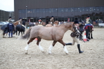 SBM_006165