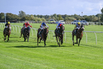 080926-Race 4-Kings Merchant-2491