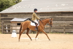 SBM_000347