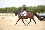 SBM_020323
