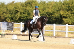 SBM_016600