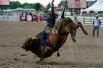 3HRodeo7-27-25_CFD_04075_Qynn Andersen