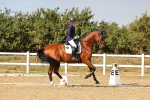 SBM_007491