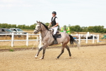 SBM_002434