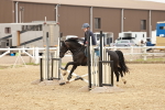 SBM_007384