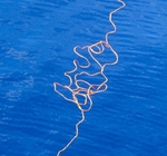 Allan Davis portfolio