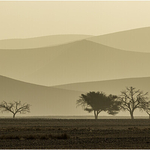 Dunes recession, Namibia-Naukluft National Park