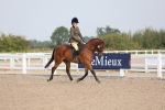 Class 304 Ridden Part Bred Horse/Pony portfolio