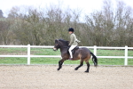 SBM_007454