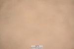 240323A-103823-01200