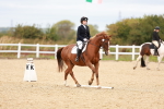 SBM_001366