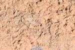 230526A-115010-01590