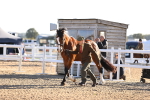 SBM_08361