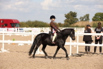 SBM_03465