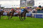 220825-Race 4-Asfoora-7533