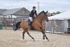 BPP_5293