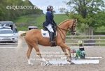 BPP_6812
