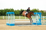 SBM_000958