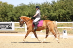 SBM_010394