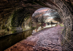 Bridge 44 looking west, Macclesfield Canal (2)