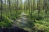 Biebrza area, Poland